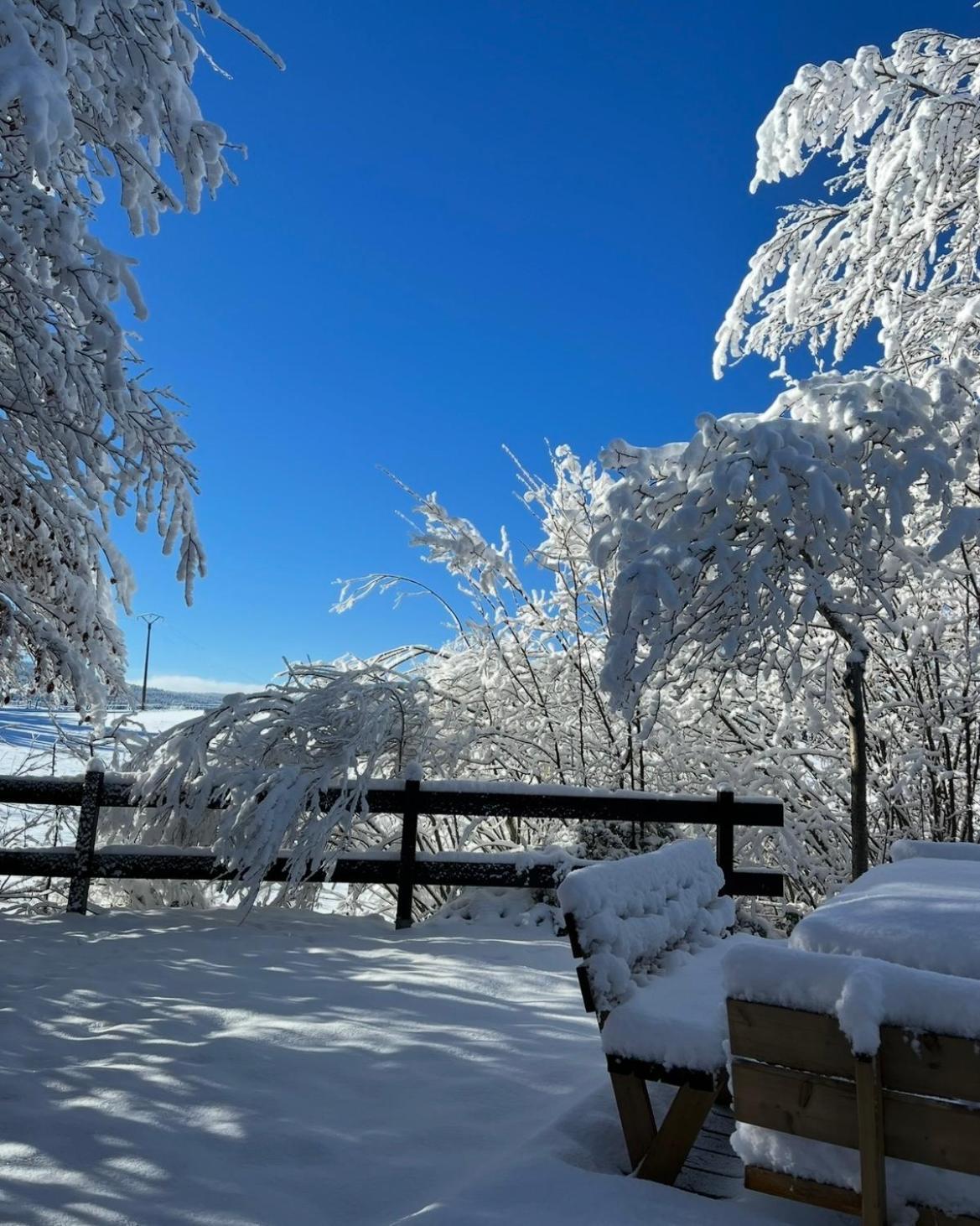 Chalet Cosy Entre Lacs Et Montagnes Métabief Dış mekan fotoğraf